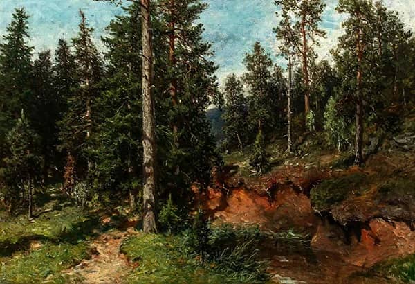 Conifer Forest by Morten Muller | Oil Painting Reproduction