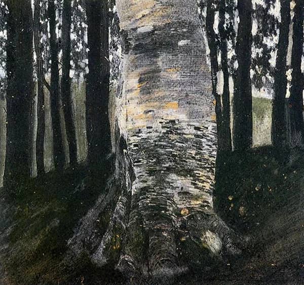 Birch in a Forest 1903 by Gustav Klimt | Oil Painting Reproduction