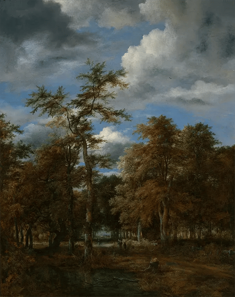 Wooded Landscape by Jacob van Ruisdael | Oil Painting Reproduction