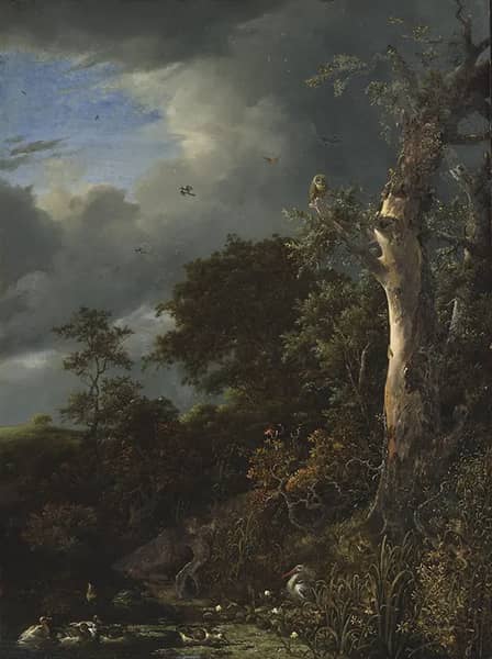Oak and Thicket at a Pool | Oil Painting Reproduction