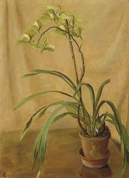 Green Cymbidium by Isabel Codrington | Oil Painting Reproduction