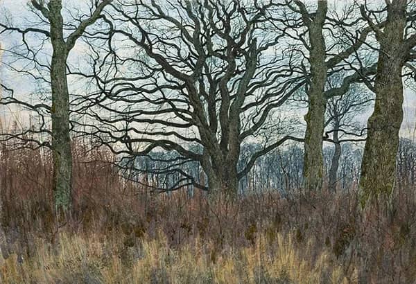 A Wood in Winter 1885 by William Fraser Garden | Oil Painting Reproduction