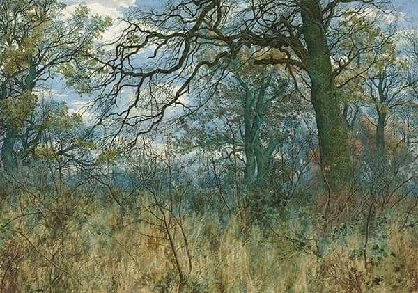 Trees and Undergrowth 1885 | Oil Painting Reproduction