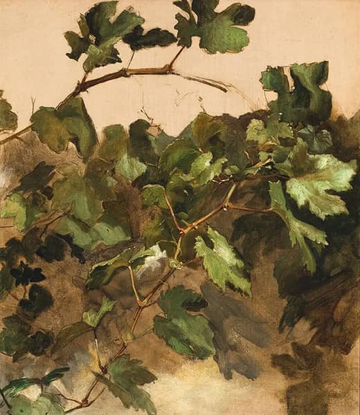 Grapevines by Rudolf Ribarz | Oil Painting Reproduction