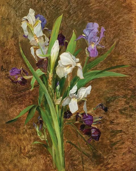 Irises I by Rudolf Ribarz | Oil Painting Reproduction