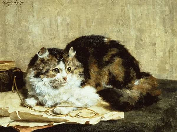 A Tabby Cat by Charles van den Eycken | Oil Painting Reproduction