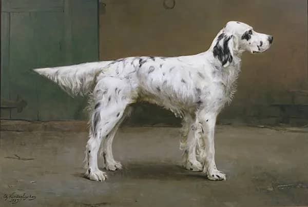 Portrait of a Dog 1885 | Oil Painting Reproduction