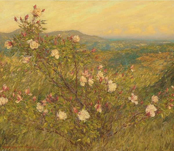 Neglected Roses Provence | Oil Painting Reproduction