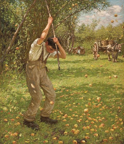 Shaking Down Cider Apples c1900 | Oil Painting Reproduction