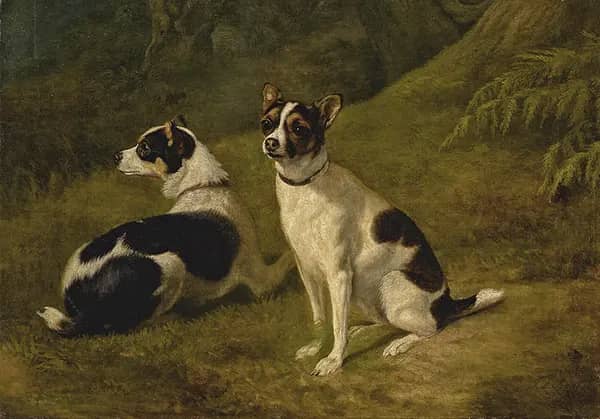 Two Terriers in a Landscape | Oil Painting Reproduction