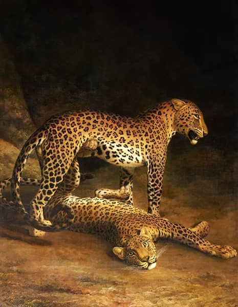 Two Leopards Lying in the Exeter 1808 | Oil Painting Reproduction