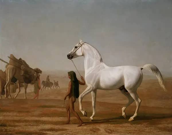 The Wellesley Grey Arabian Led Through the Desert 1810 | Oil Painting Reproduction