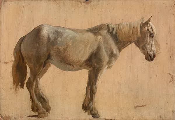Study of a Grey Horse 1800 | Oil Painting Reproduction