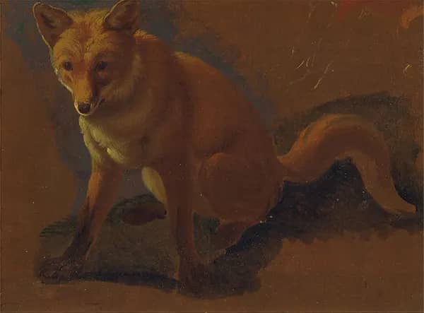 Study of a Fox c1810 by Jacques-Laurent Agasse | Oil Painting Reproduction