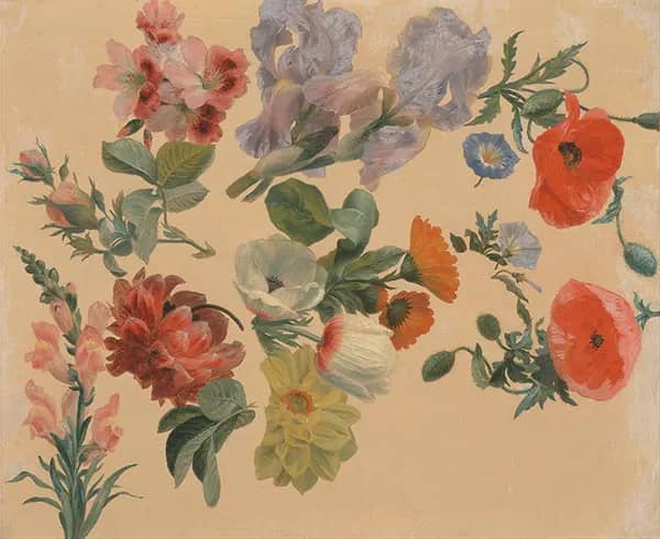 Studies of Summer Flowers 1848 | Oil Painting Reproduction