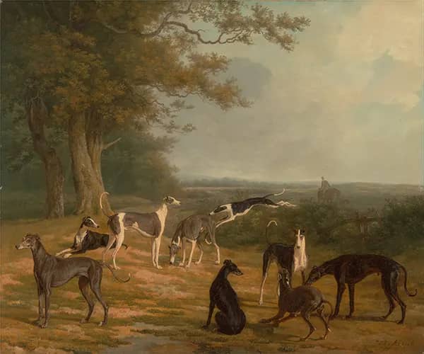 Nine Greyhounds in a Landscape 1807 | Oil Painting Reproduction