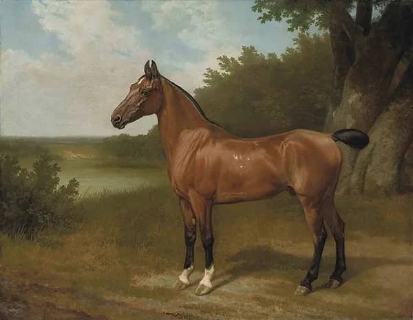 Lord Bingley's Hunter in a Wooded River Landscape | Oil Painting Reproduction