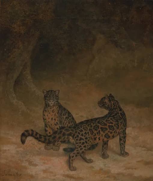 Clouded Leopards 1825 | Oil Painting Reproduction