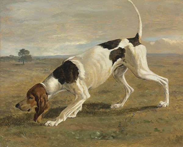 A Pointer in a Landscape | Oil Painting Reproduction
