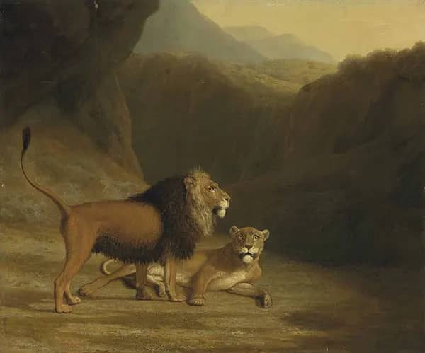 A Lion and a Lioness in a Rocky Valley | Oil Painting Reproduction