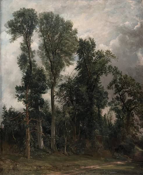Trees at Hampstead 1821 by John Constable | Oil Painting Reproduction