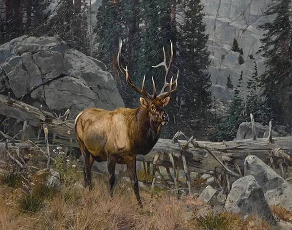 Bull Elk in the High Country by Carl Rungius | Oil Painting Reproduction