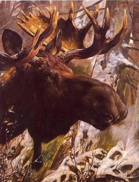 Moose Attracted Hunters by Carl Rungius | Oil Painting Reproduction