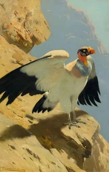 King Vulture by Wilhelm Kuhnert | Oil Painting Reproduction