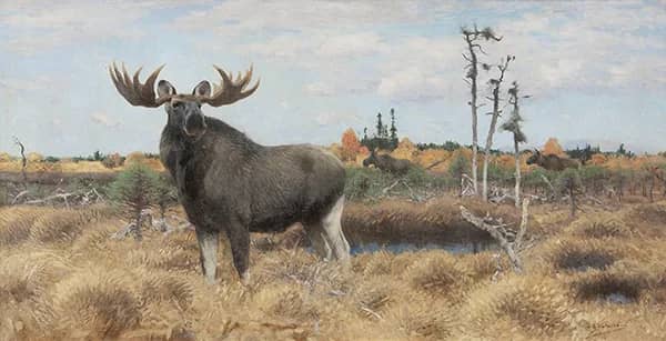 Moose on a Swedish Moor by Wilhelm Kuhnert | Oil Painting Reproduction