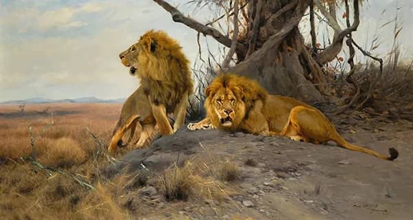 Roaring Lions 1912 by Wilhelm Kuhnert | Oil Painting Reproduction