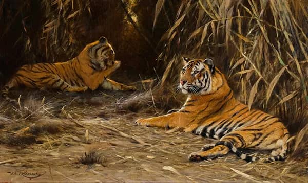 Tigers in the Jungle by Wilhelm Kuhnert | Oil Painting Reproduction