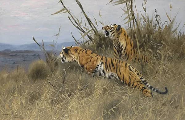 Tigers on the Prowl by Wilhelm Kuhnert | Oil Painting Reproduction