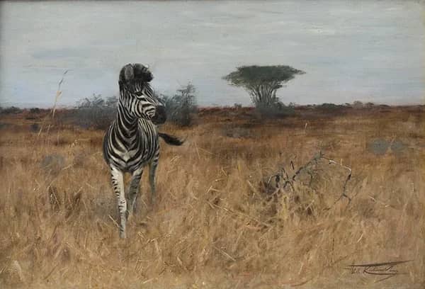 Zebra by Wilhelm Kuhnert | Oil Painting Reproduction