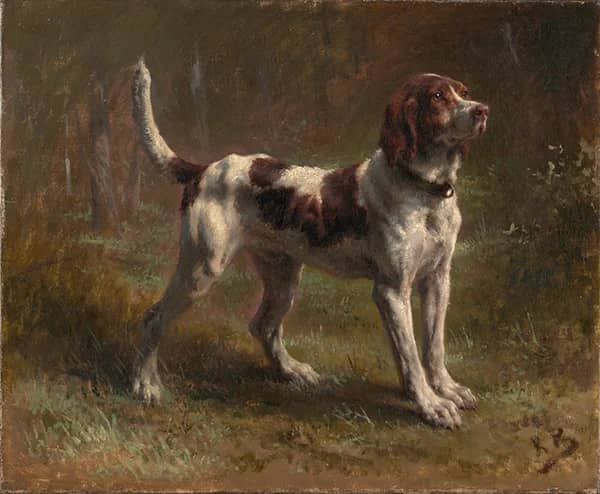 A Limier Briquet Hound 1856 by Rosa Bonheur | Oil Painting Reproduction