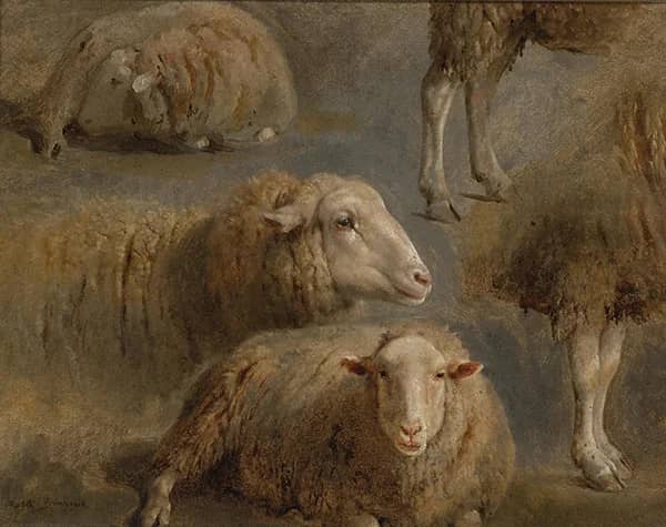 A Study of Sheep by Rosa Bonheur | Oil Painting Reproduction