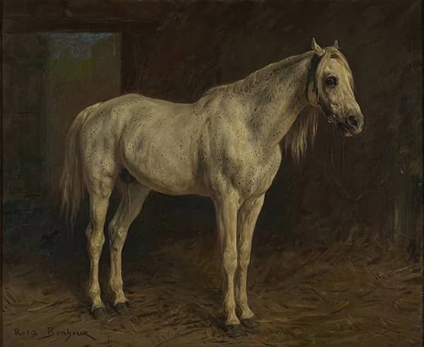A White Horse 1860 by Rosa Bonheur | Oil Painting Reproduction