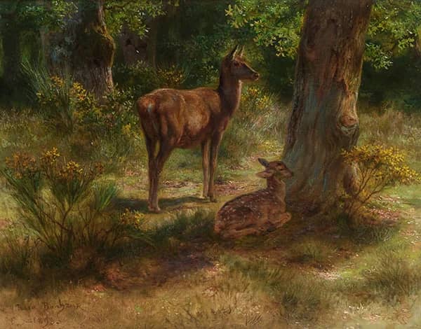 Deer and Wild Animals in a Wood 1893 | Oil Painting Reproduction