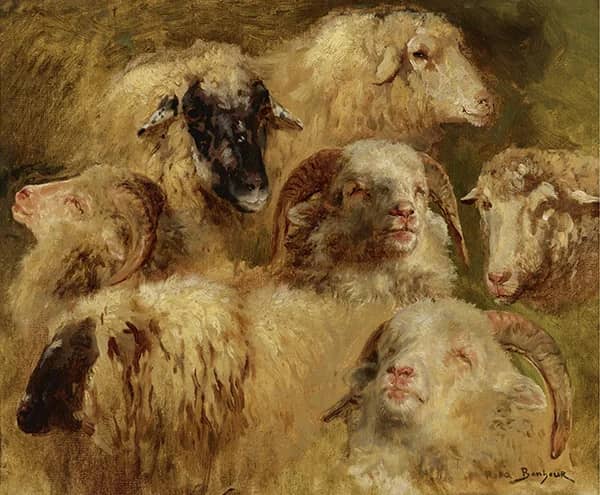 Heads of Sheep and Rams by Rosa Bonheur | Oil Painting Reproduction