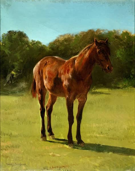 Horse 1800 by Rosa Bonheur | Oil Painting Reproduction