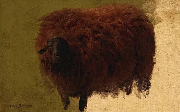 Large Wooly Sheep by Rosa Bonheur | Oil Painting Reproduction