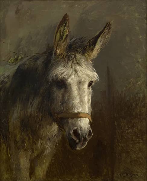 Portrait of a Donkey by Rosa Bonheur | Oil Painting Reproduction