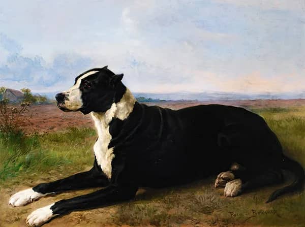 Portrait of a Mastiff Labrador in a Landscape | Oil Painting Reproduction