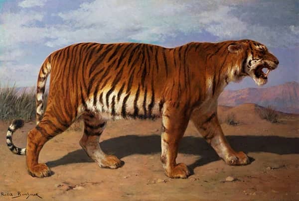 Stalking Tiger by Rosa Bonheur | Oil Painting Reproduction