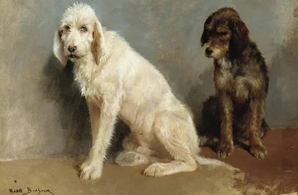 Study of Two Dogs by Rosa Bonheur | Oil Painting Reproduction