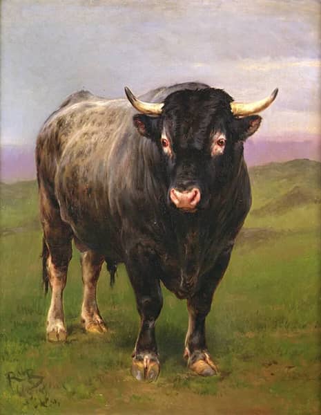 The Black Bull by Rosa Bonheur | Oil Painting Reproduction