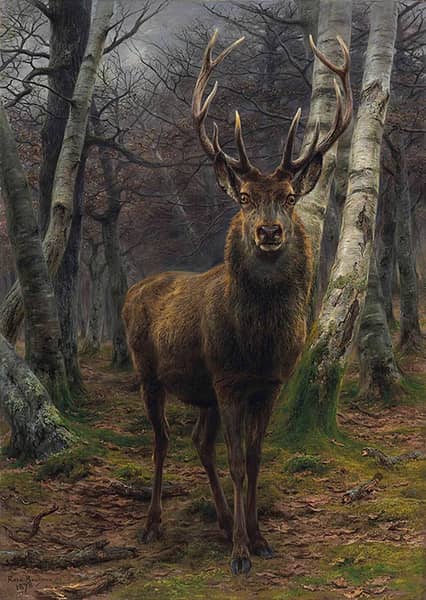 The King of the Forest 1878 by Rosa Bonheur | Oil Painting Reproduction
