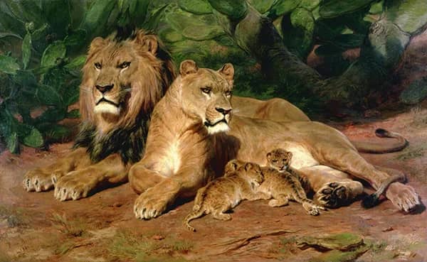 The Lions at Home 1881 by Rosa Bonheur | Oil Painting Reproduction