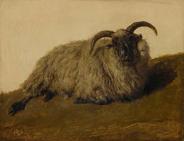 The Merino by Rosa Bonheur | Oil Painting Reproduction