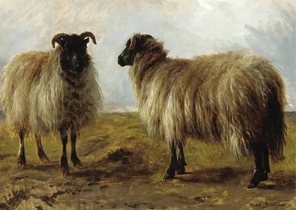 Two Rams in a Landscape by Rosa Bonheur | Oil Painting Reproduction