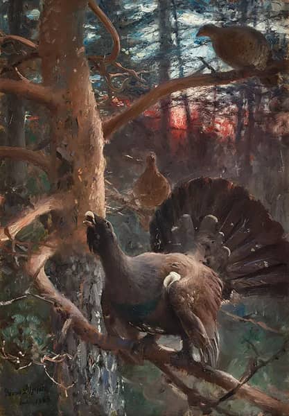 Capercaillies Lekking 1885 by Bruno Liljefors | Oil Painting Reproduction